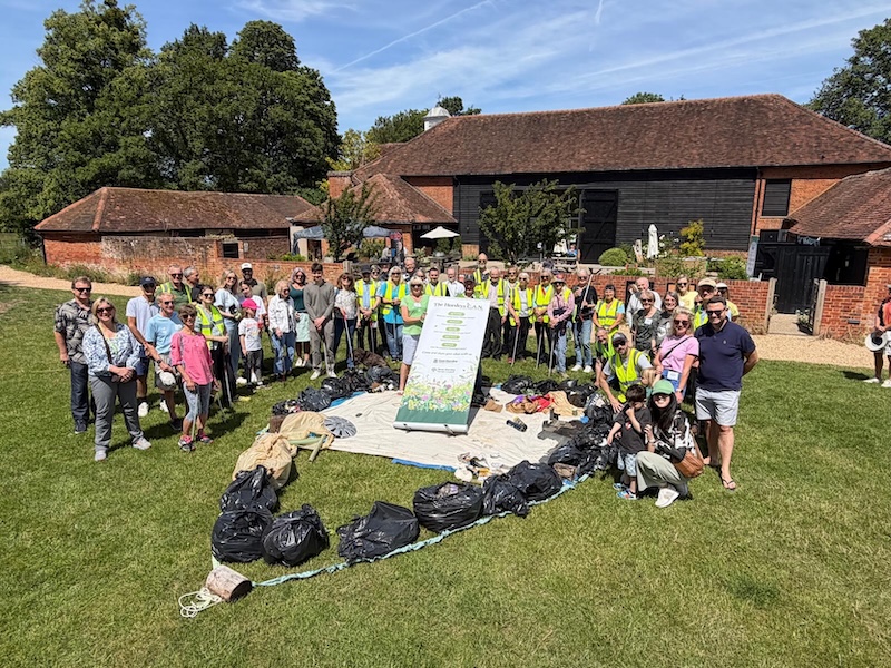 Great Big Litter pick ii